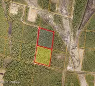 Lot222&232 Plantation Road, Wilmington, NC 28411 — lot in Greenview Ranches, Wilmington, NC, photo 12 of 12: Screenshot 2023-03-09 at 2.19.29 PM