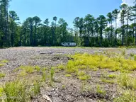 280 Donnie Davis Road, Williston, NC 28589 — waterfront lot in William C. Alston, Williston, NC, photo 16 of 21: Ready for your house plans