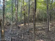 0 Knight Way SE, Winnabow, NC 28479 — lot, Winnabow, NC, photo 6 of 15: IMG_1385