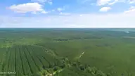 1 Lizzie Henry Road, Ivanhoe, NC 28447 — lot, Ivanhoe, NC, photo 12 of 15: Aerial