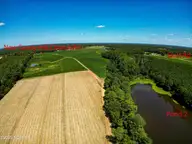 000 S Nc 581 Highway, Bailey, NC 27807 — waterfront lot in Old Fields, Bailey, NC, photo 15 of 53: DJI_0268_pro