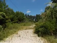 3662 Richlands Highway, Jacksonville, NC 28540 — lot, Jacksonville, NC, photo 1 of 3: Richlands Hwy