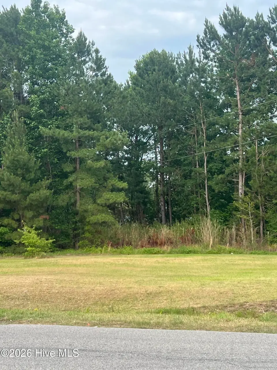 508 Strickland Drive, Princeville, NC 27886 — lot in Southern Terrace, Princeville, NC, photo 1 of 8: IMG_0846