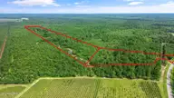 1 Lizzie Henry Road, Ivanhoe, NC 28447 — lot, Ivanhoe, NC, photo 5 of 15: lizziehenryrd_00004