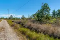 166 Fulcher Landing Drive, Stacy, NC 28581 — waterfront lot, Stacy, NC, photo 13 of 22: Waterfront vacant lot in Stacy