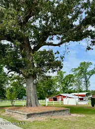 4998 Peacock Road, Whiteville, NC 28472 — 3-bedroom home, Whiteville, NC, photo 6 of 77: house