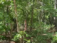 747 78 Sandspur Drive, Vass, NC 28394 — lot in Woodlake, Vass, NC, photo 1 of 4: IMG_5390