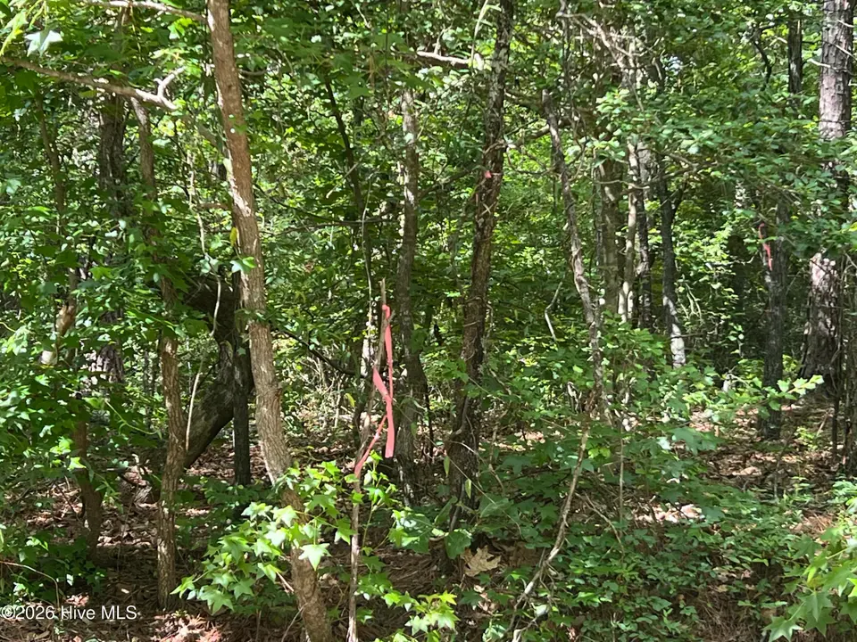 747 78 Sandspur Drive, Vass, NC 28394 — lot in Woodlake, Vass, NC, photo 1 of 4: IMG_5390