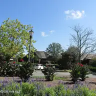 134 W Grandiflora Drive, Wallace, NC 28466 — lot in River Landing, Wallace, NC, photo 9 of 11: IMG_0694