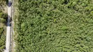 Lot #267 267 Plantation Road, Wilmington, NC 28411 — lot in Greenview Ranches, Wilmington, NC, photo 9 of 15: 4_drone