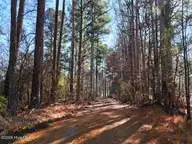 0 Nc 98 Highway, Spring Hope, NC 27882 — lot, Spring Hope, NC, photo 5 of 39: 5. Ground Photo Driveway