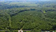 239 16 Lick Creek Road, Carthage, NC 28327 — lot, Carthage, NC, photo 5 of 12
