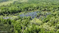 Off Speights Chapel Road, Whitakers, NC 27891 — lot, Whitakers, NC, photo 15 of 57: DJI_0584