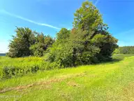 0 Us 264, Belhaven, NC 27810 — lot, Belhaven, NC, photo 2 of 5: IMG_6784