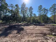 4127 Balboa Avenue, Leland, NC 28451 — 3-bedroom home in Pinewood, Leland, NC, photo 20 of 34: Backyard
