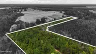 5 Bull Tail Road, Wallace, NC 28466 — lot, Wallace, NC, photo 3 of 21