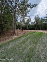 Tbd 2R-3 Peyton Drive, Eagle Springs, NC 27242 — lot, Eagle Springs, NC, photo 3 of 11: PXL_20260707_210647504