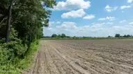 000 Oberry Road, Dudley, NC 28333 — lot, Dudley, NC, photo 16 of 38: 0OberryRd-DudleyNC-16