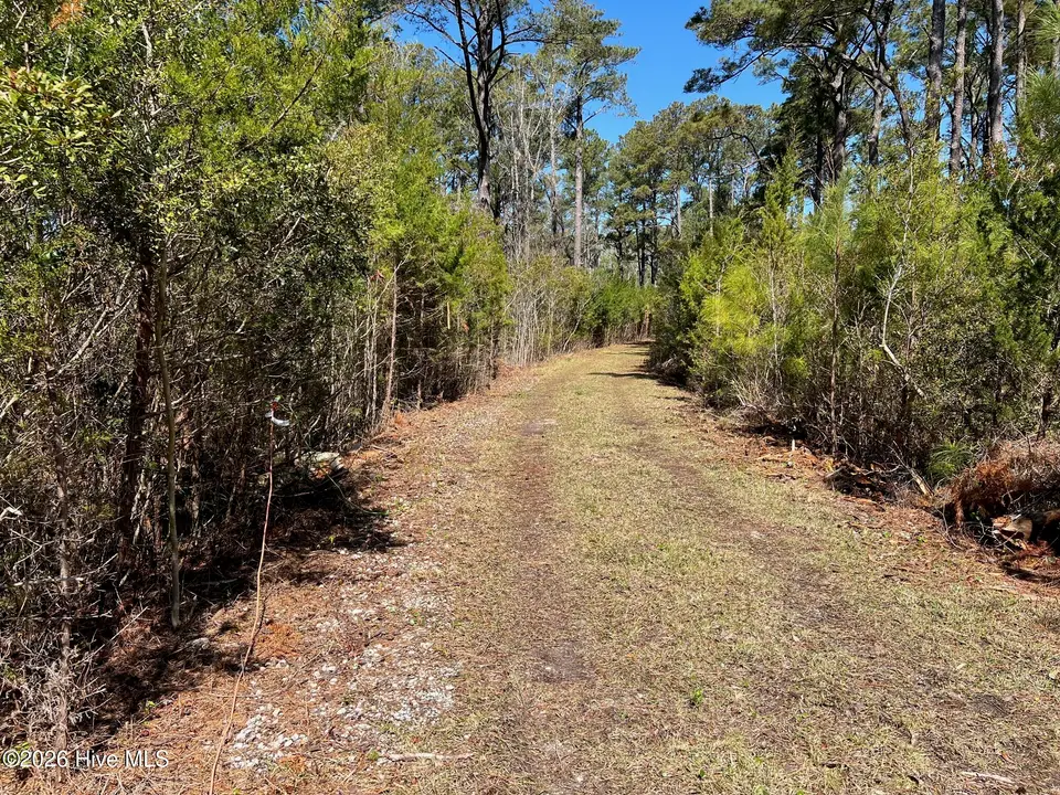 150 Styron Creek Road, Sea Level, NC 28577 — waterfront lot in Sea Level Inn, Sea Level, NC, photo 1 of 4: 1_beyc69fbc480c616d