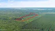 1 Lizzie Henry Road, Ivanhoe, NC 28447 — lot, Ivanhoe, NC, photo 8 of 15: lizziehenryrd_00007