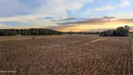 0 5-3 Nc 43, Whitakers, NC 27891 — lot, Whitakers, NC, photo 2 of 17: Field