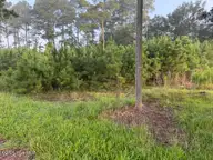 6076 Marvin Taylor Road, Grifton, NC 28530 — lot, Grifton, NC, photo 4 of 5: IMG_3486