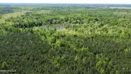 Off Speights Chapel Road, Whitakers, NC 27891 — lot, Whitakers, NC, photo 14 of 57: DJI_0583