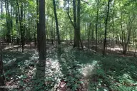 0 Crowatan Trail, Carthage, NC 28327 — lot, Carthage, NC, photo 12 of 18: 12_beyc6a67c3bb2fb51