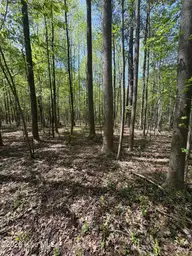 7818-1 McGregor Road, Nashville, NC 27856 — lot, Nashville, NC, photo 4 of 13: IMG_2426