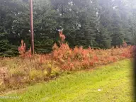 000 Richlands Highway, Jacksonville, NC 28540 — lot, Jacksonville, NC, photo 3 of 8