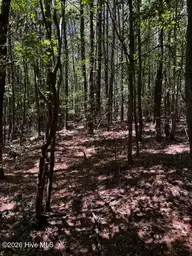 Lot 1 Dan Road, Robbins, NC 27325 — lot, Robbins, NC, photo 17 of 20