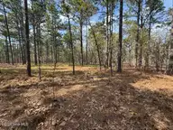 27 1209 Birkdale Way, Pinehurst, NC 28374 — lot in Forest Creek, Pinehurst, NC, photo 11 of 20: IMG_0971 Medium