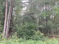 Lot # 33 33 33 Pine Crest Road, Bath, NC 27808 — lot in Carolina Shores, Bath, NC, photo 2 of 7: IMG_8540