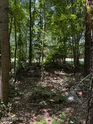 Lot 1 Dan Road, Robbins, NC 27325 — lot, Robbins, NC, photo 11 of 20