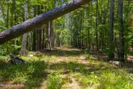 674 State Road 1415, Greenville, NC 27834 — lot, Greenville, NC, photo 10 of 10: 674 State Road 1415 Greenville NC