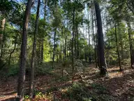 470 Acres Lane NW, Calabash, NC 28467 — lot in Hickmans Crossing, Calabash, NC, photo 14 of 19: IMG_1633