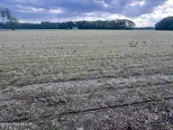 0 Tract 1 Nc 30, Stokes, NC 27884 — lot, Stokes, NC, photo 15 of 17: IMG_6016