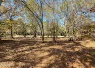 167 River Ridge Drive, Wallace, NC 28466 — waterfront lot in River Landing, Wallace, NC, photo 12 of 44