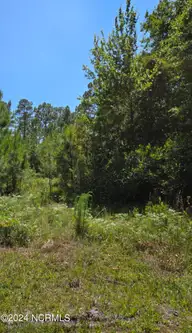 Tr16 Wildwood, Boiling Spring Lakes, NC 28461 — lot in Boiling Spring Lakes, Boiling Spring Lakes, NC, photo 1 of 3: wildwood pic