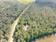 1827 Lightwood Bridge Road, Wallace, NC 28466 — lot, Wallace, NC, photo 10 of 12: PTSC_1067