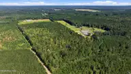6655 Myrtlehead Road NW, Ash, NC 28420 — lot, Ash, NC, photo 10 of 24: 6655_myrtle_head_rd_015
