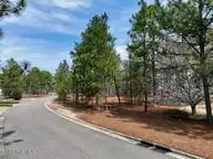 103 Chesterfield Drive, Pinehurst, NC 28374 — 4-bedroom home in Forest Creek, Pinehurst, NC, photo 21 of 47: DJI_0220