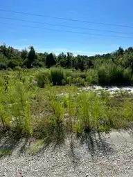 8 Hardison Drive, Hampstead, NC 28443 — lot, Hampstead, NC, photo 2 of 2