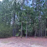 109 405 Haddington Drive, Pinehurst, NC 28374 — lot in Forest Creek, Pinehurst, NC, photo 8 of 12: IMG_5393
