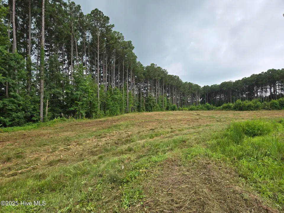 Lot 50 50 Roseheath Court, Bailey, NC 27807 — lot in Morganshire, Bailey, NC, photo 1 of 1: Morganshire-Lot 50