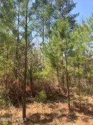 Tbd Healing Acres Lane, Carthage, NC 28327 — lot, Carthage, NC, photo 17 of 19: IMG_3167
