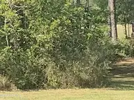 1731 Caracara Drive, New Bern, NC 28560 — lot in Fairfield Harbour, New Bern, NC, photo 2 of 10: 1731 Caracara LOT