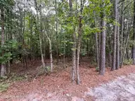 410 5 Bingham Street, Carthage, NC 28327 — lot in Carthage, Carthage, NC, photo 4 of 10: IMG_0753