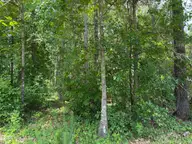118 66 Ferret Run Lane, New Bern, NC 28562 — lot in River Trace, New Bern, NC, photo 10 of 14: IMG_7798