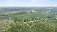 Near 2461 Bill Hooks Road, Whiteville, NC 28472 — lot, Whiteville, NC, photo 6 of 11: Drone (4)